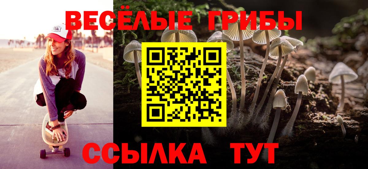 Черняховск  Галлюциногенные грибы Magic Shrooms  Вход с VPN 