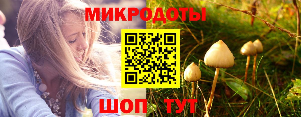 Псилоцибиновые грибы Magic Shrooms Черняховск
